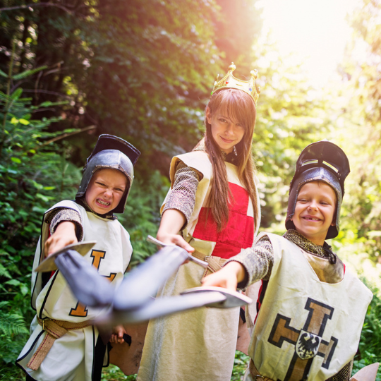 Medieval mayhem 540px